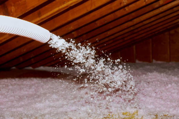 Best Insulation Replacement Services  in Buffalo, SC