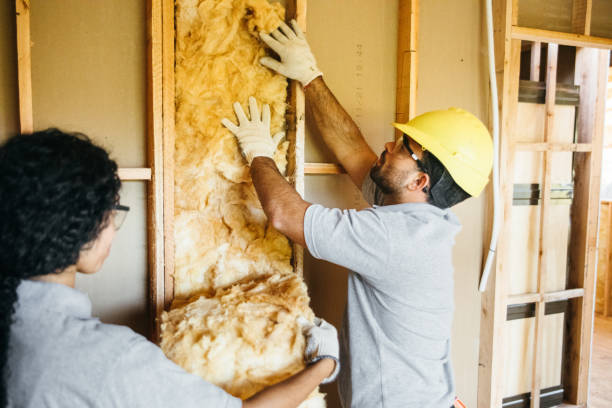Best Soundproof Insulation Installation  in Buffalo, SC