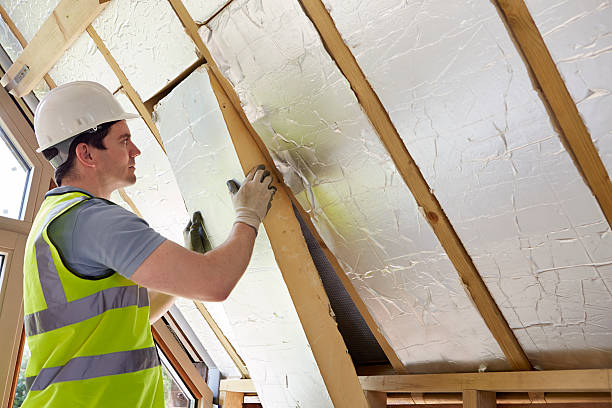 Best Insulation Contractors for Homes  in Buffalo, SC