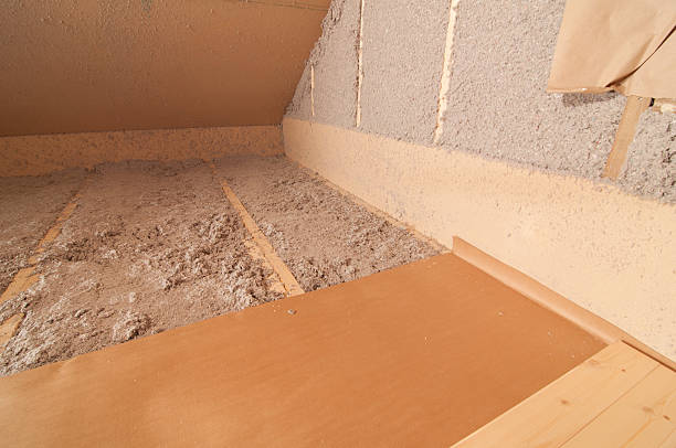 Best Professional Insulation Contractor  in Buffalo, SC