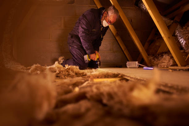 Best Energy-efficient Insulation  in Buffalo, SC