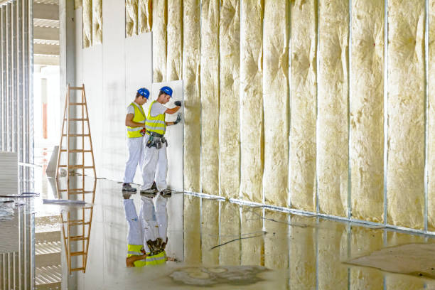 Best Cellulose Insulation  in Buffalo, SC
